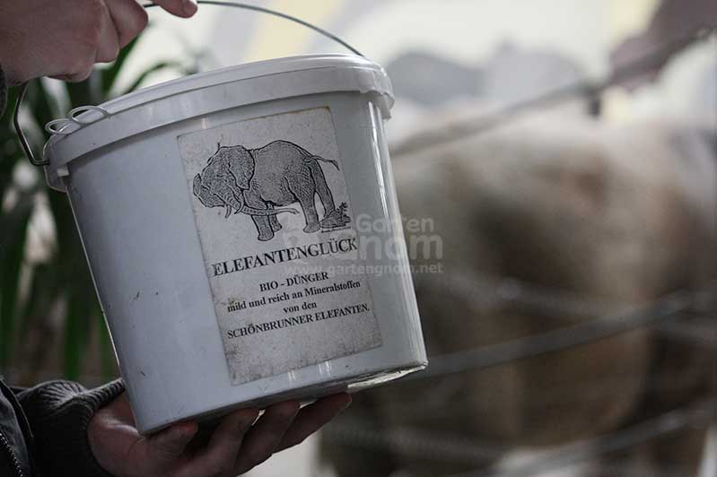 Elefantenglück: Elefantendung aus dem Tiergarten Schönbrunn in Wien.