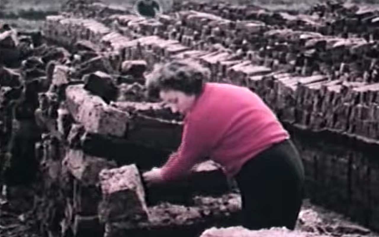 Alter Werbefilm: Torf im Garten 1957