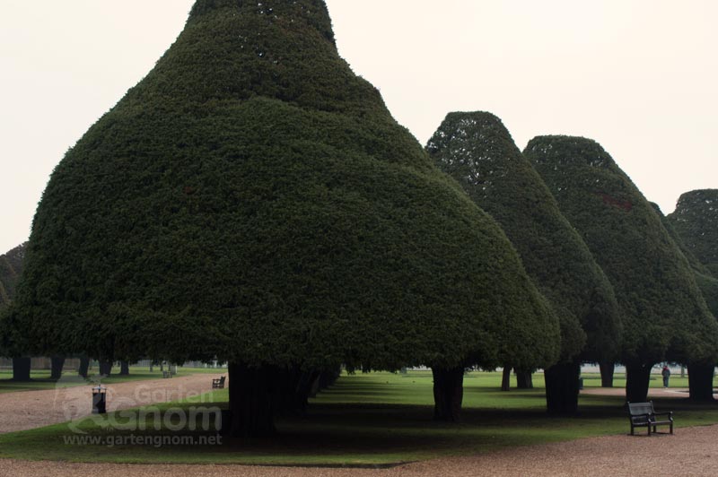 Hampton Court Palace und Gärten