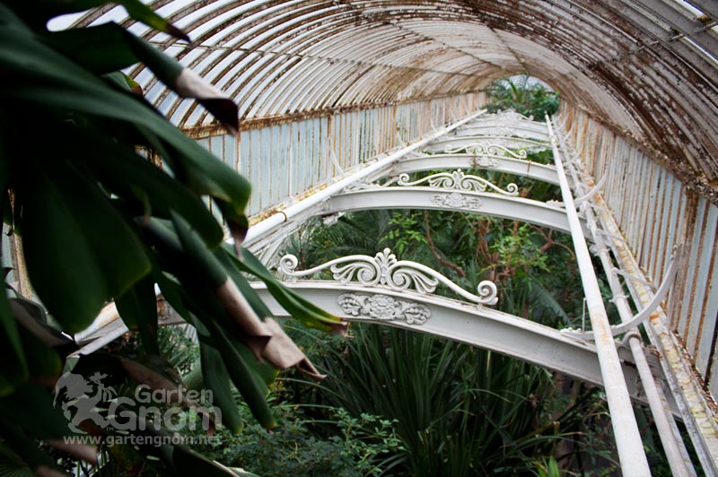 Im großen Palmenhaus in den Kew Gardens in London.