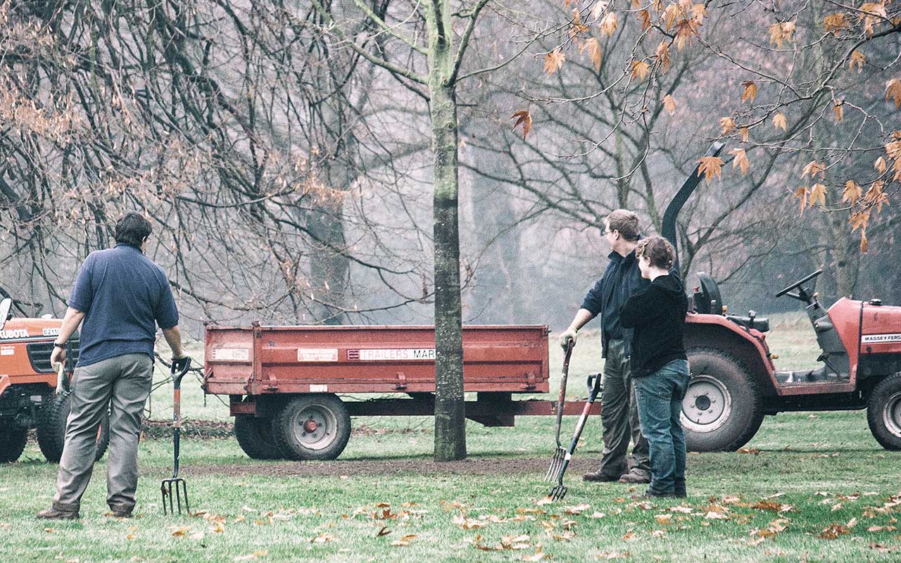 Gartenarbeiten im Jänner – Auch im Winter gibt es keine Pause