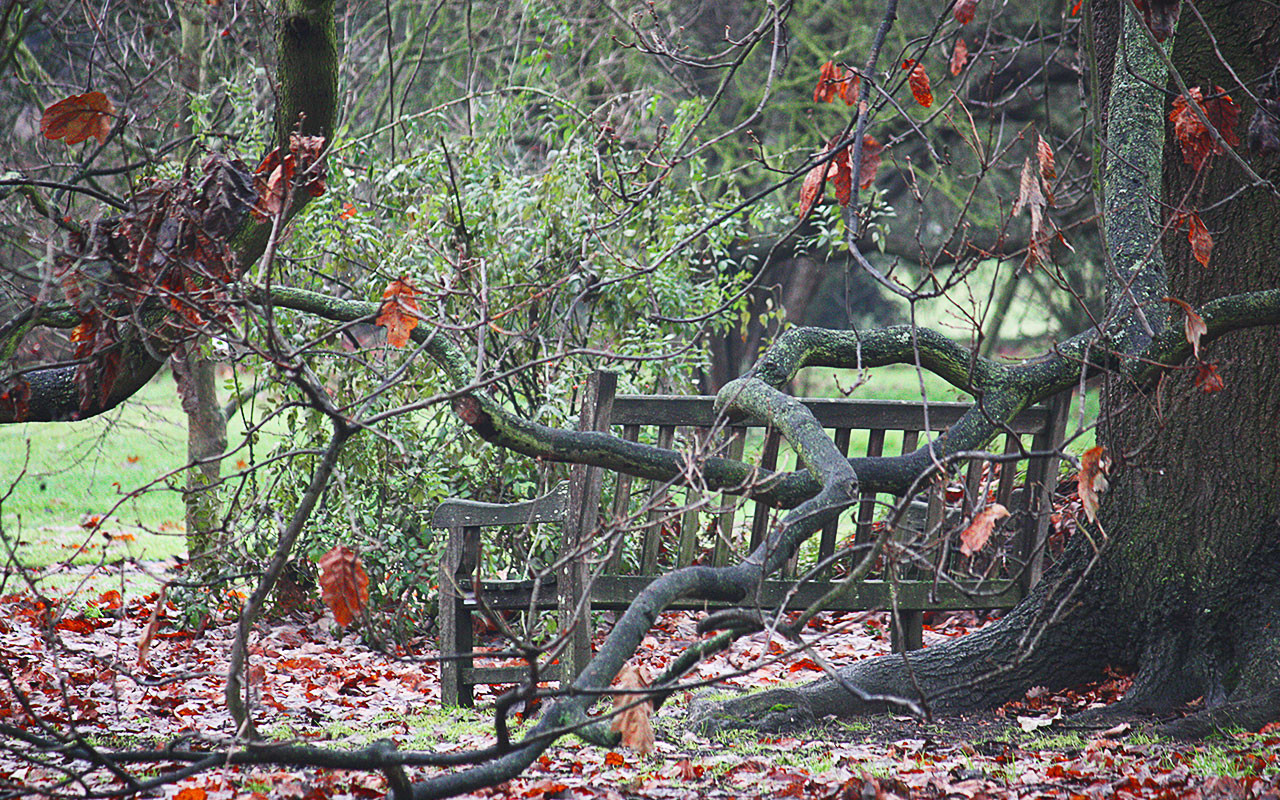 Gartenarbeiten im Februar