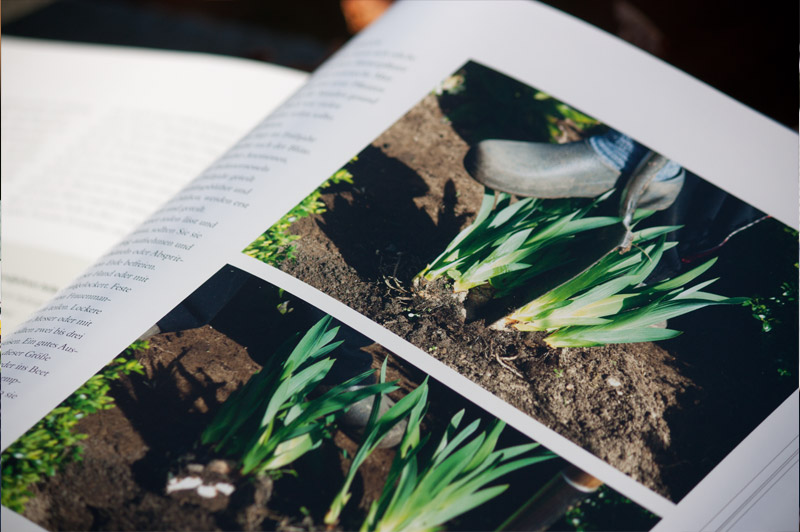 Step-by-Step Bilder-Erklärung im Buch "Stauden im Garten"