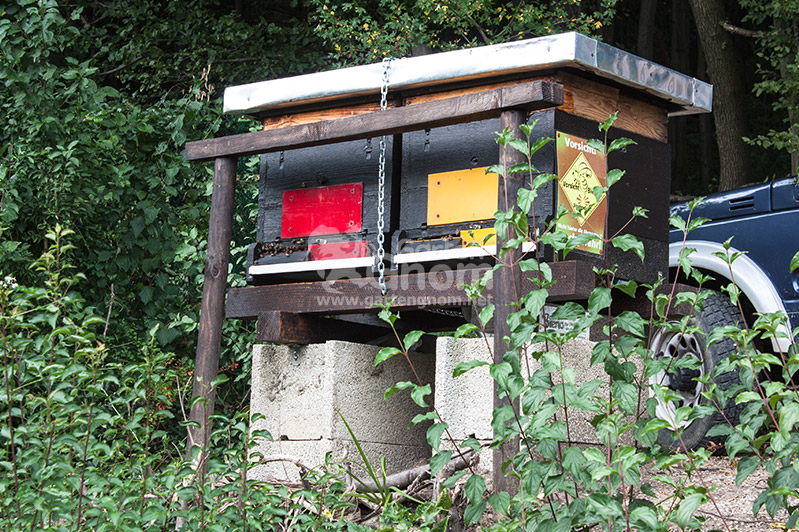 Bienenstöcke über einer Bienenweide.