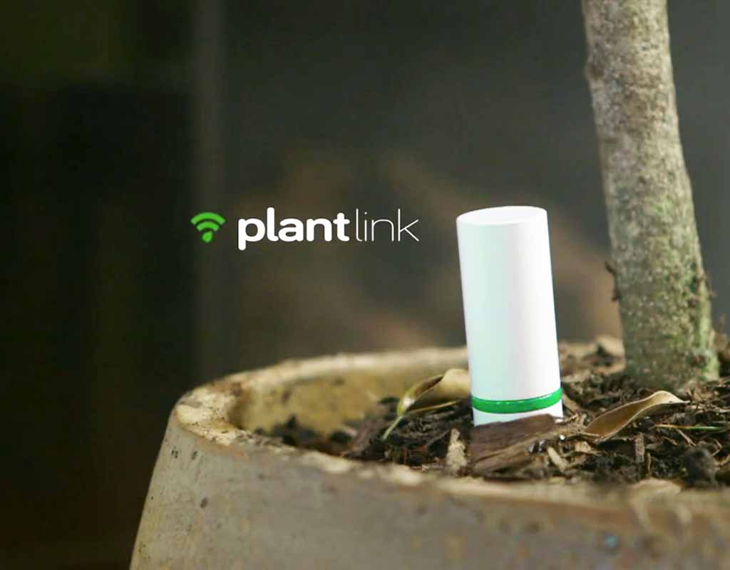 Plant Link: Bodensonden für Garten-Geeks und Leute ohne grünen Daumen