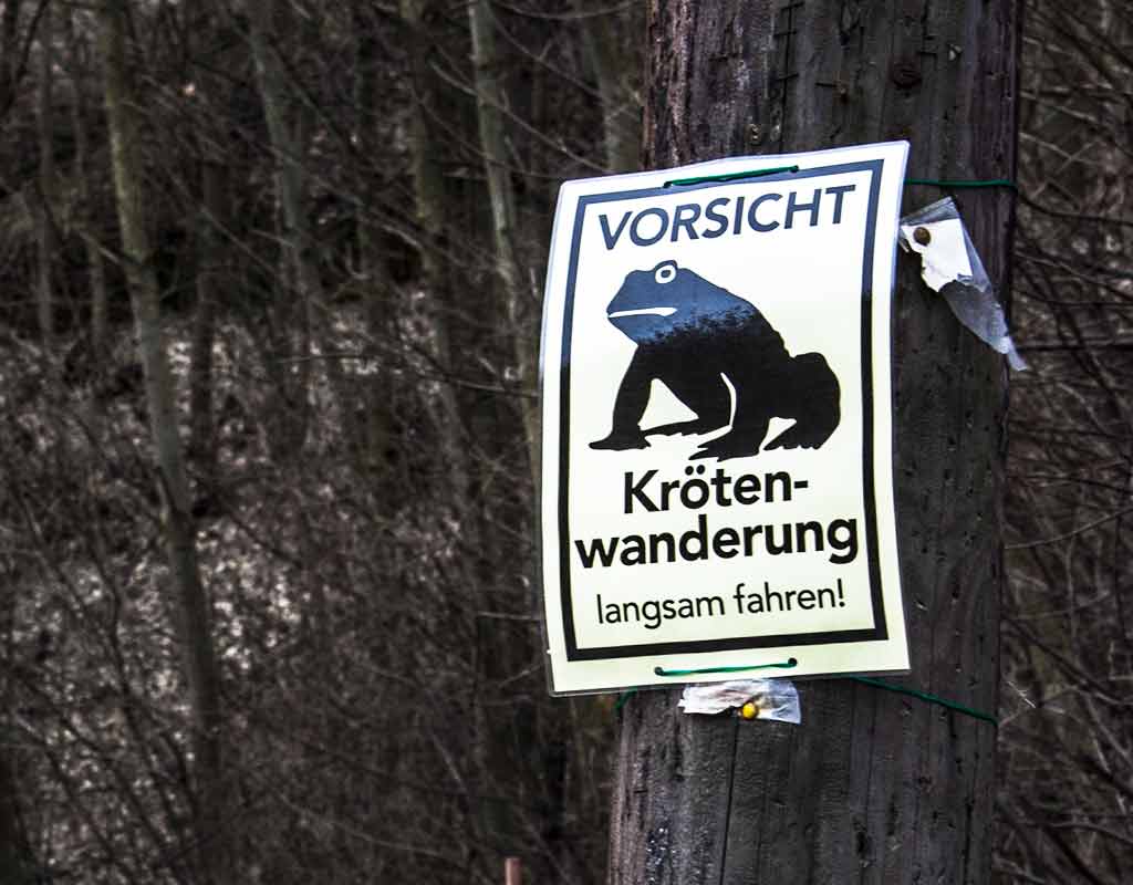 Download: Vorsicht Krötenwanderung Schilder
