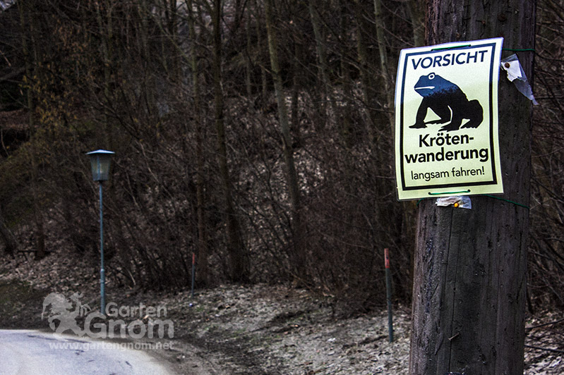 Vorsicht Krötenwanderung Schild