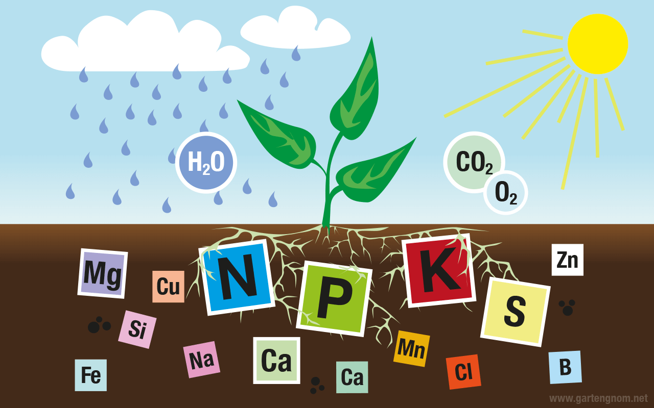 Illustration: Nährstoffe für Pflanzen