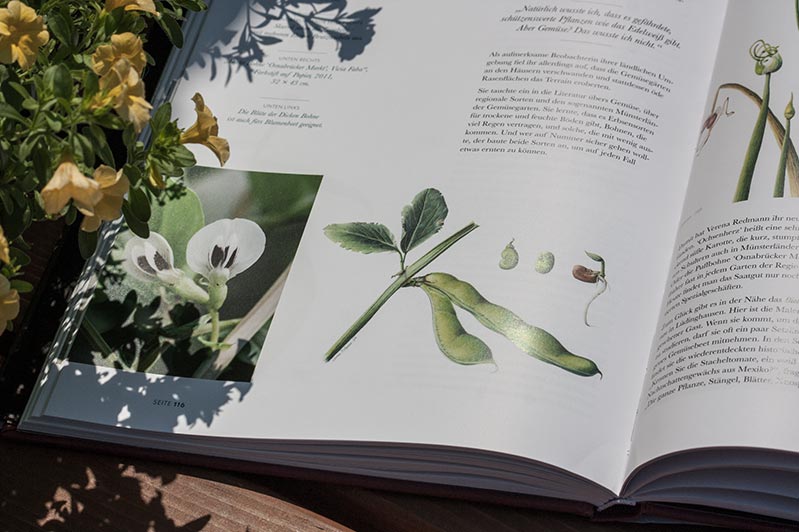 Seite im Buch "Blumenmalerinnen"