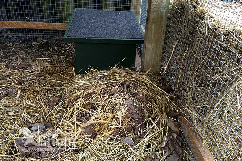 Igel in Überwinterungshäuschen und Haufen im Auswilderungsgehege.