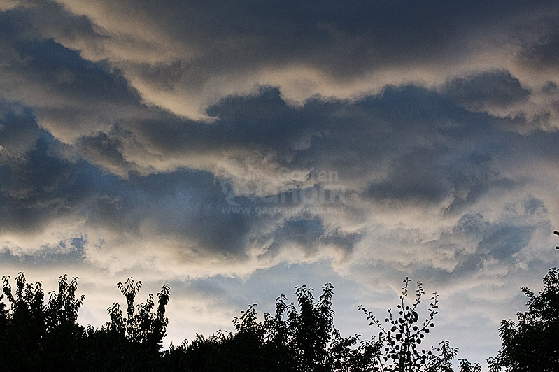 Nimbostratus-Wolken bringen viel und lang andauernden Regen.