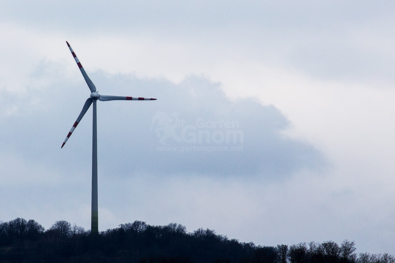 Windräder drehen sich mit dem Wind. Je nachdem ob Luv- oder Leeläufer dreht sich das Rad jedoch in den Wind oder vom Wind weg.