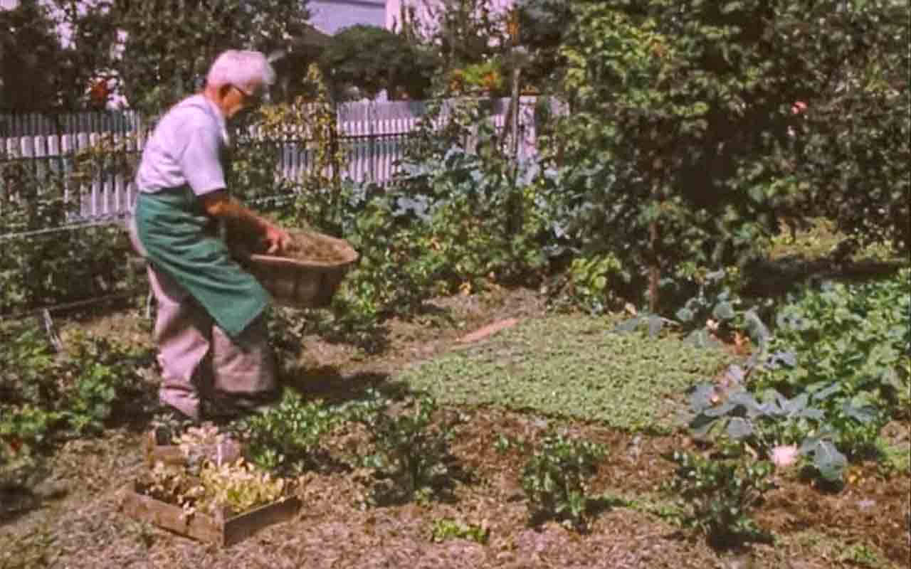 Biologisch Gärtnern: Fernsehbericht von 1975!