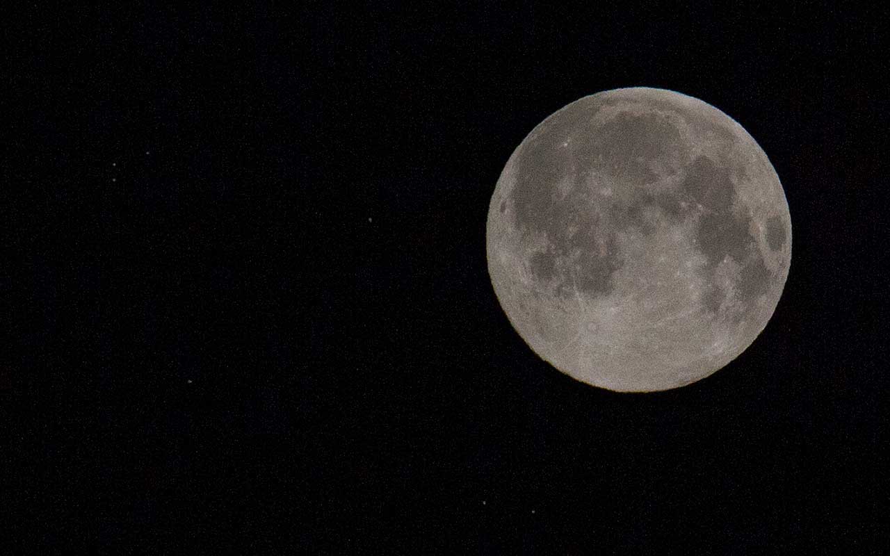 Was bringt Gärtnern mit dem Mond?