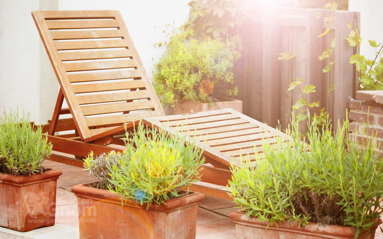 Absonniger Gartenbereich Vollsonne im Garten